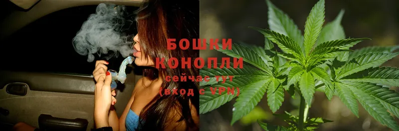 Бошки марихуана THC 21%  закладка  Кирсанов 